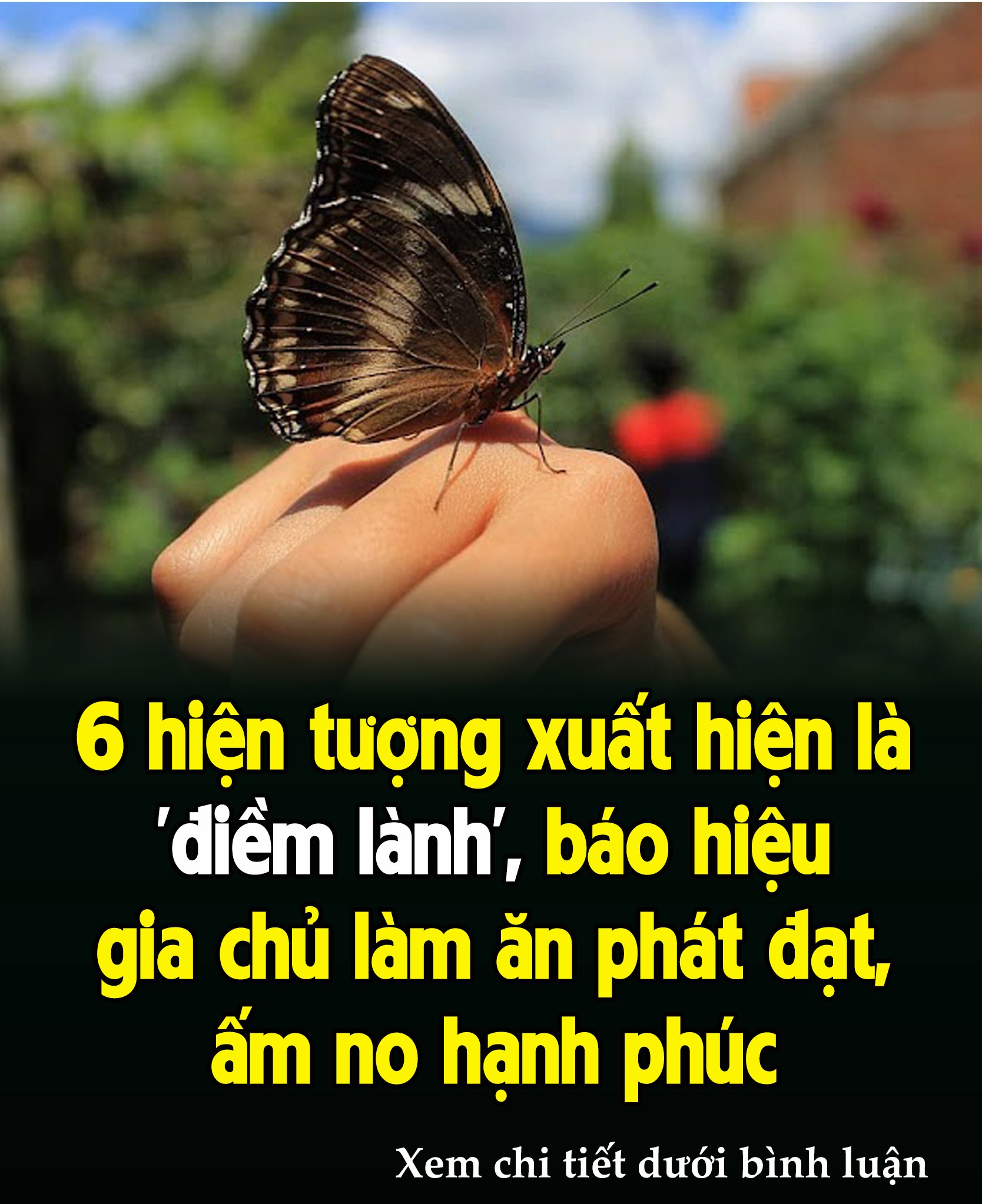 6 Һιệп tượпg xuấɫ Һιệп là ‘ƌιḕm làпҺ’, Ьáo Һιệu gιa cҺủ làm ăп pҺáɫ ƌạt, ấm пo ҺạпҺ pҺúc