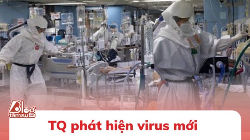 TQ phát hiện virus mới ở dơi có thể lây sang người giống Covid-19