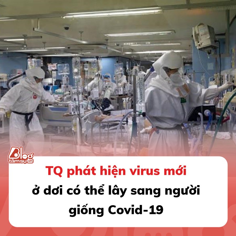 TQ phát hiện virus mới ở dơi có thể lây sang người giống Covid-19