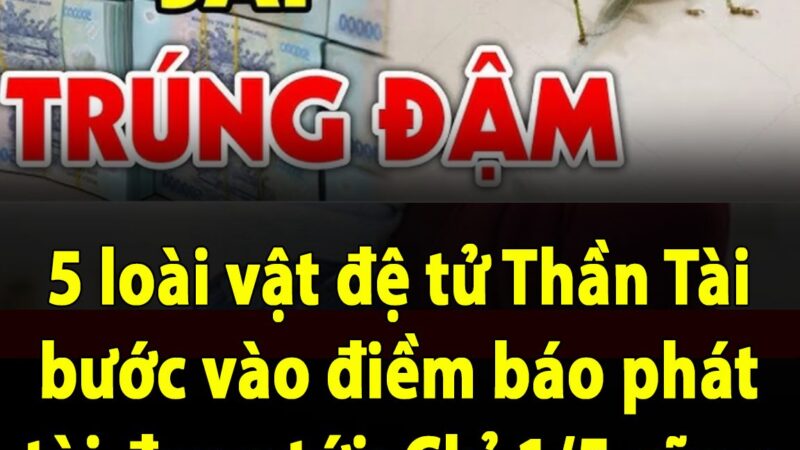 5 loài vật đệ tử Thần Tài bước vào điềm báo phát tài đang tới: Chỉ 1/5 cũng giàu có