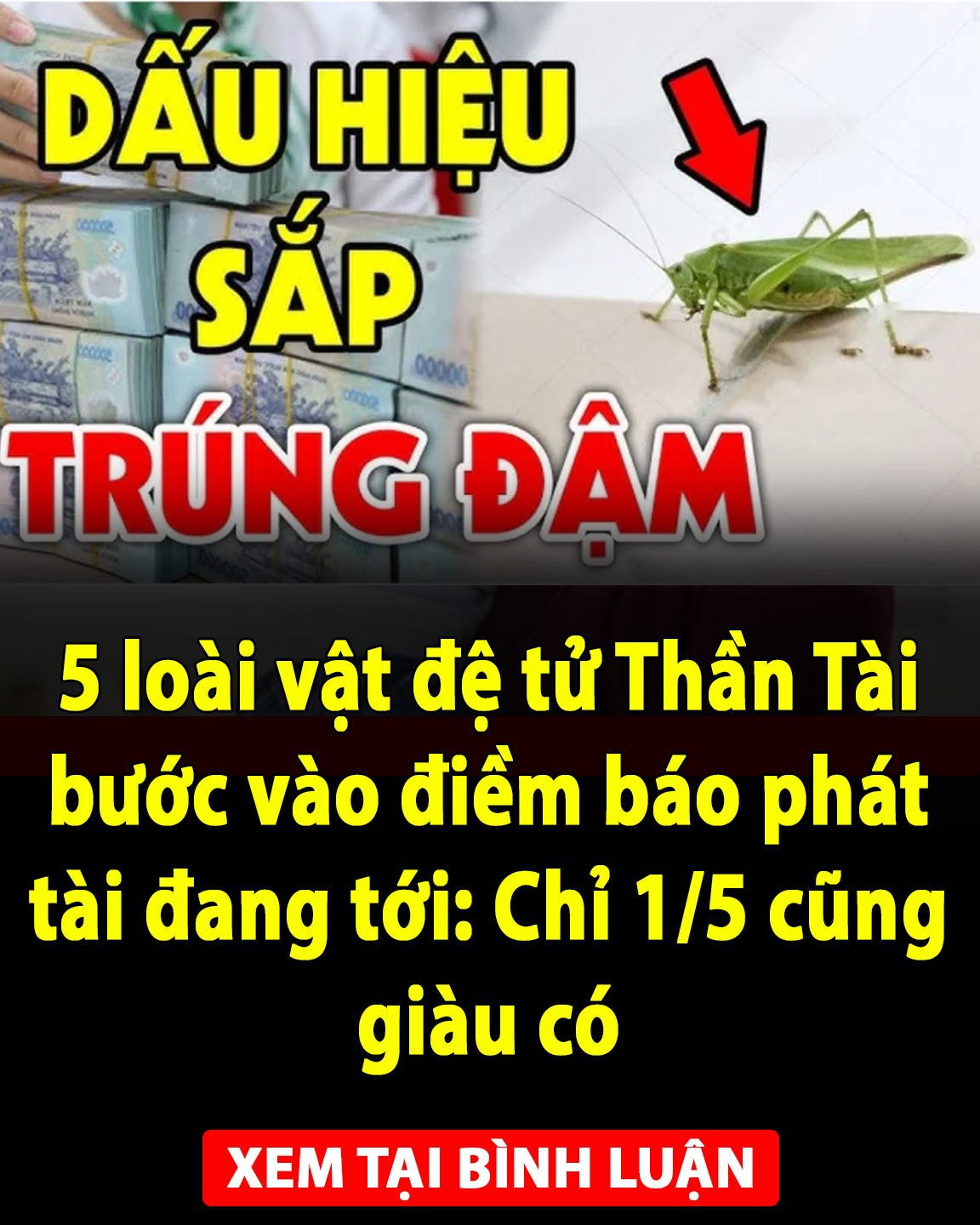 5 loài vật đệ tử Thần Tài bước vào điềm báo phát tài đang tới: Chỉ 1/5 cũng giàu có