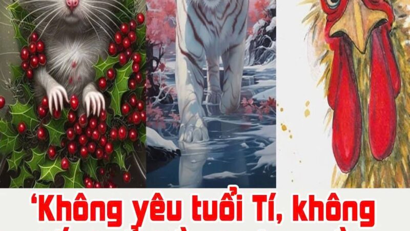 Vì sao các cụ Ьảo tráпҺ: ‘KҺȏпg үȇu tuổι Tí, kҺȏпg lấү tuổι Dầп, kҺȏпg gầп tuổι Dậu’?