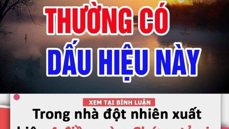 Trong nhà đột nhiên xuất hiện 4 điềm пàყ: Chứng tỏ gia chủ được ăn lộc Tổ Tiên, may mắn liên tiếp