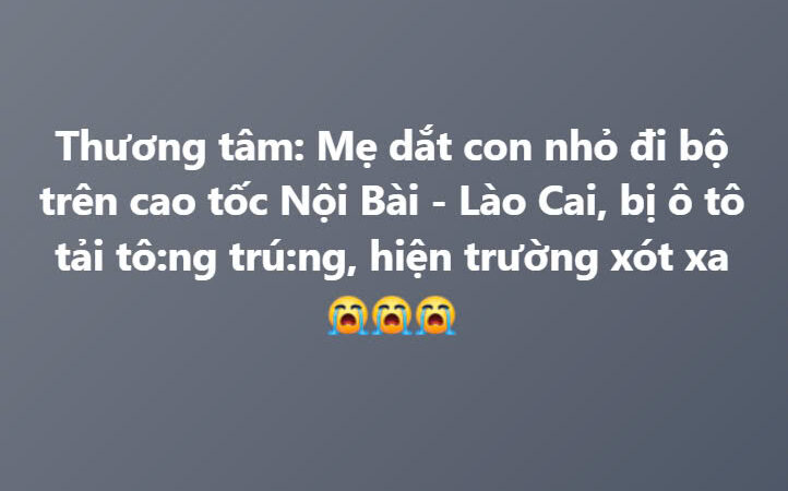 Đi bộ trên đường cao tốc, 2 mẹ con bị xe tải tông th:ương v:ong