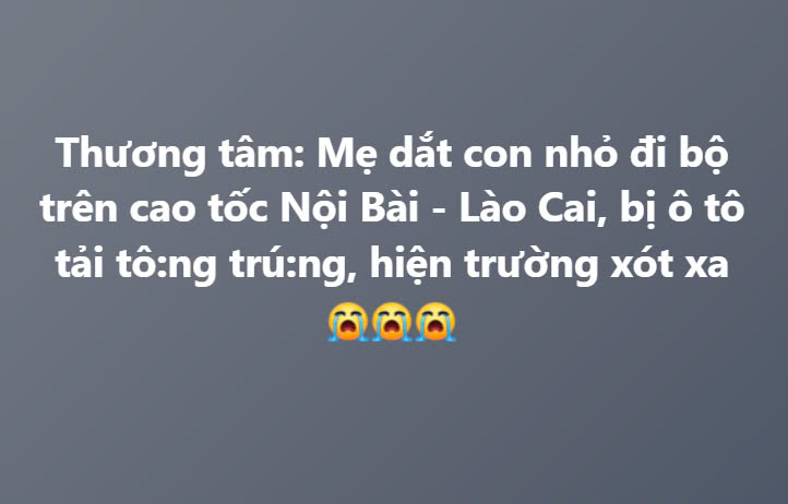 Đi bộ trên đường cao tốc, 2 mẹ con bị xe tải tông th:ương v:ong