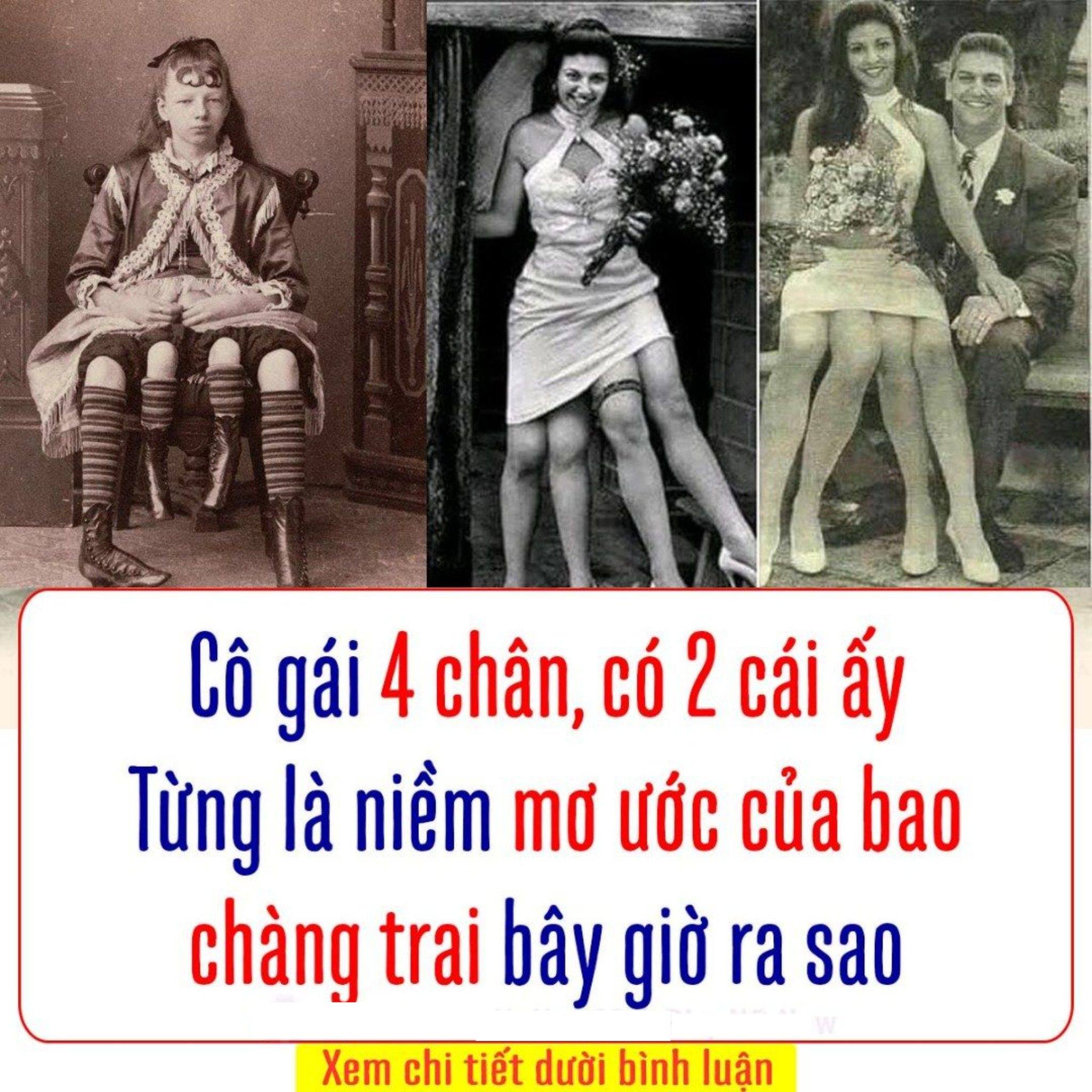 Cô gái 4 chân nổi tiếng như minh tinh, từng là niềm mơ ước của bao chàng trai