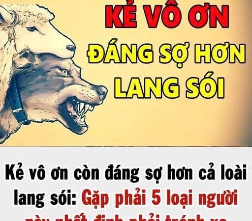 Kẻ vô ơn còn đáng sợ hơn cả loài lang sói: Nếu gặp 5 loại người này xung quanh, hãy cố gắng tránh xa!