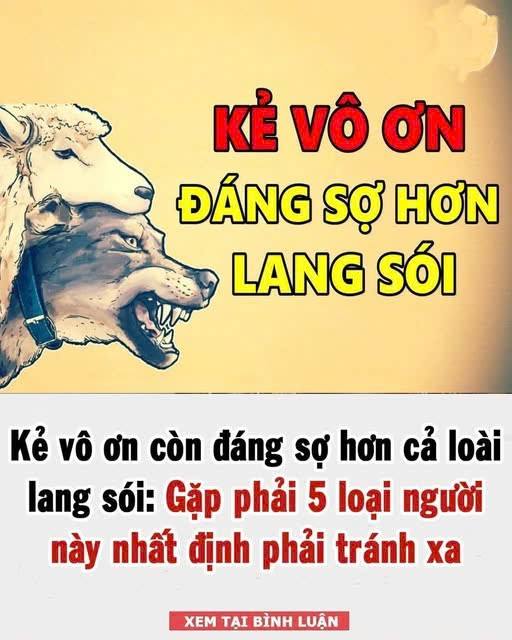 Kẻ vô ơn còn đáng sợ hơn cả loài lang sói: Nếu gặp 5 loại người này xung quanh, hãy cố gắng tránh xa!