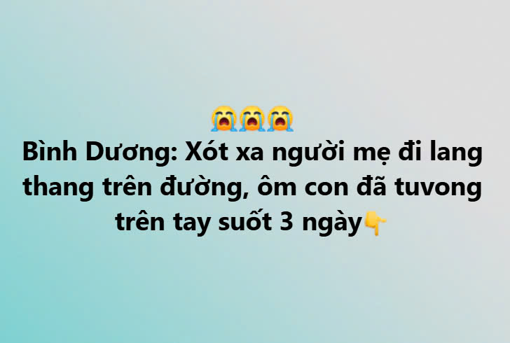 Bình Dương: Xót xa người mẹ đi lang thang trên đường, ôm con đã tuvong trên tay suốt 3 ngày