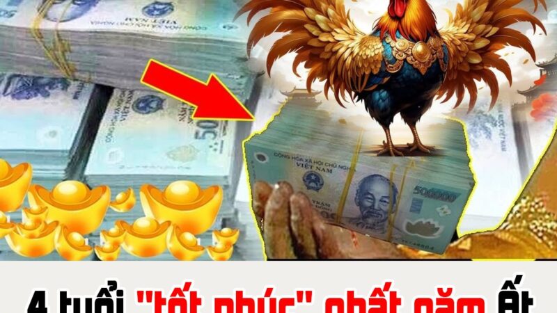 4 tuổi “tốt phúc” nhất năm Ất Ty 2025: Lộc tràn vào cửa, số 1 Tiền-Tài-Danh đủ cả