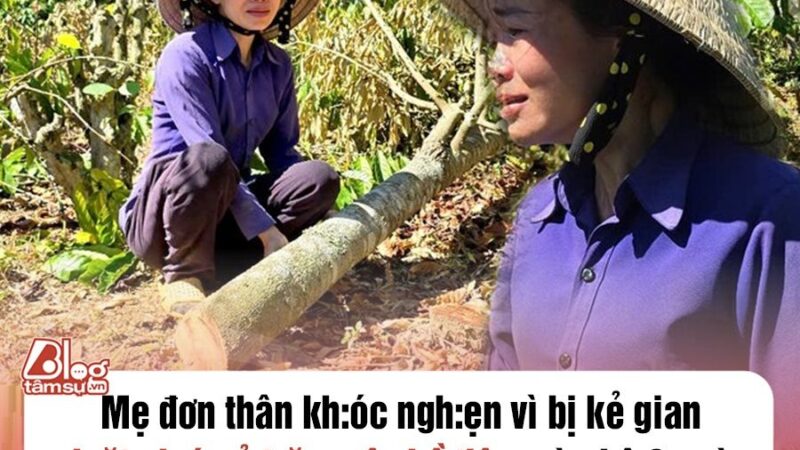 Mẹ đơn thân kh:óc ngh:ẹn vì bị kẻ gian ch:ặt ph:á cả trăm cây hồ tiêu, cà phê 2 ngày liên tiếp: Tiết l:ộ phát sinh m:âu thuẫn với một đối tượng