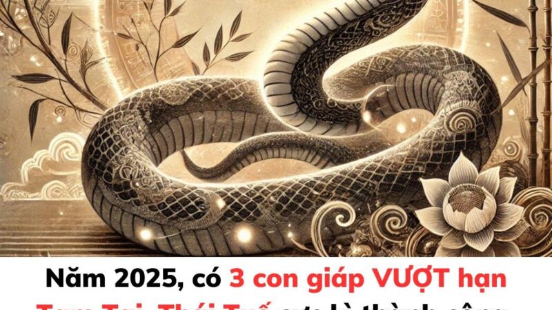 Năm 2025, có 3 con giáp VƯỢT hạn Tam Tai, Thái Tuế cực kì thành công, tưởng bết bát cuối cùng vẫn đạt đỉnh giàu sang chưa từng có