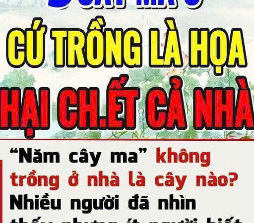 “Năm cây ma” không trồng ở nhà là năm loại c ?