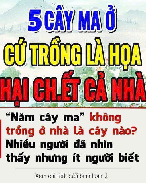 “Năm cây ma” không trồng ở nhà là năm loại c ?