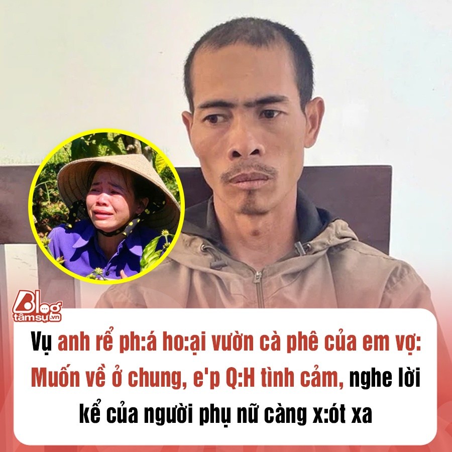 Vụ anh rể phá vườn cà phê em vợ: Muốn về ở chung, ép Q:H tình cảm