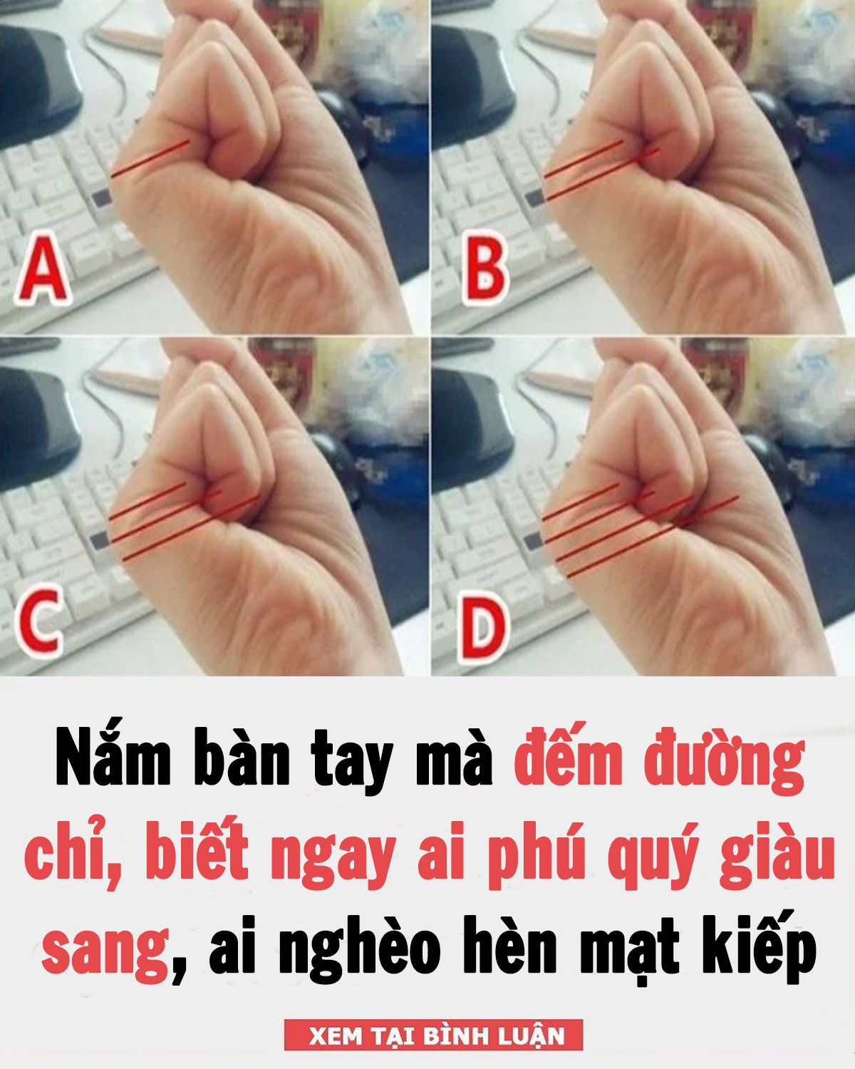 Nắm bàn tay mà đếm đường chỉ, biết ngay ai phú quý giàu sang, ai nghèo hèn mạt kiếp