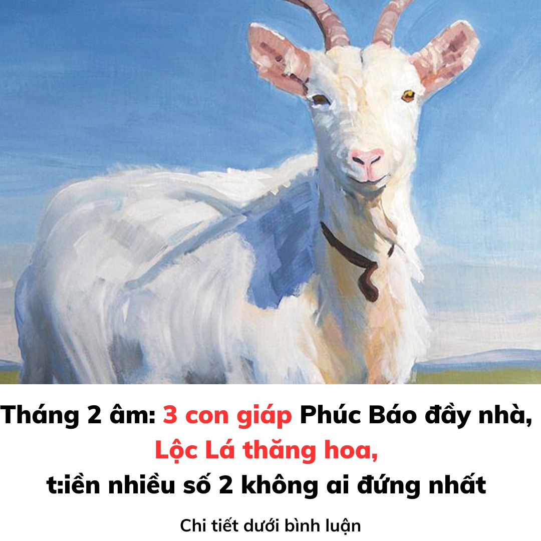 Tháng 2 Âm: 3 con giáp Phúc Báo đầy nhà, Lộc Lá thăng hoa, tiền nhiều số 2 không ai đứng nhất