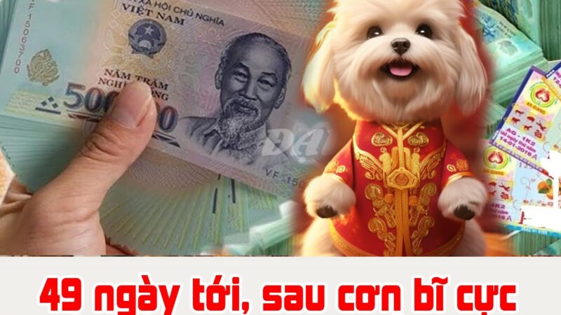 49 ngày tới, sau cơn bĩ cực đến hồi thái lai, 3 tuổi thăng tiến ngoạn mục, kiếm số tiền khủng