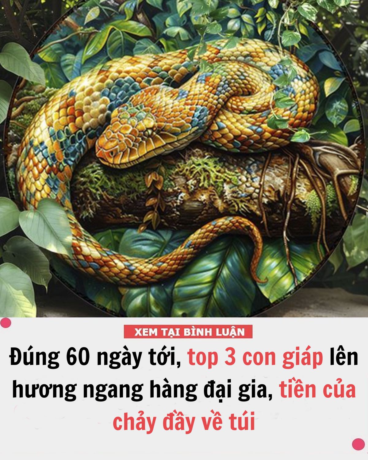 Đúng 60 ngày tới, top 3 con giáp lên hương ngang hàng đại gia, tiền của chảy đầy về túi