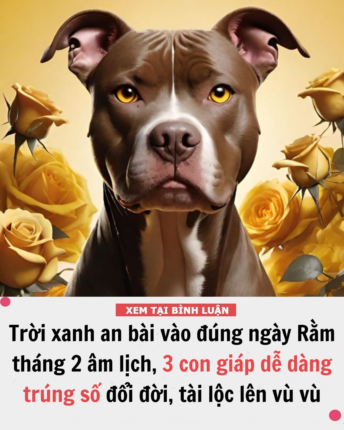 Trời xanh an bài vào đúng ngày Rằm tháng 2 âm lịch, 3 con giáp dễ dàng trúng số đổi đời, tài lộc lên vù vù như diều gặp gió, ngồi im của nả tự tìm đến cửa