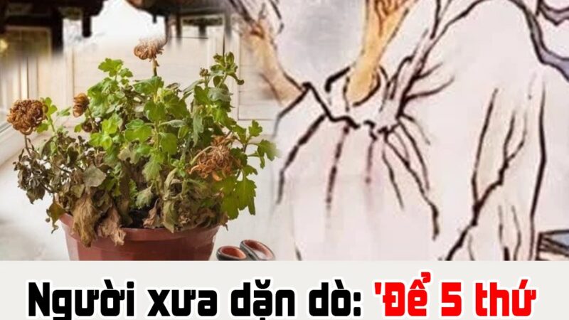 Người xưa dặn dò: ‘Để 5 thứ này trong nhà, không tai họa bại vong cũng nợ nần chồng chất’