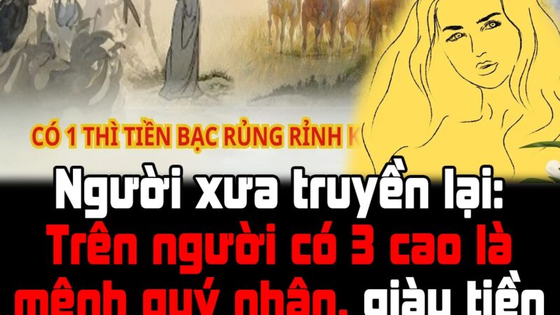 Người xưa truyền lại: Trên người có 3 cao là mệnh quý nhân, giàu tiền nhiều phước, chỉ cần 1 cao cũng mừng