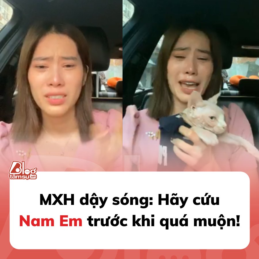 Cứu lấy Nam Em