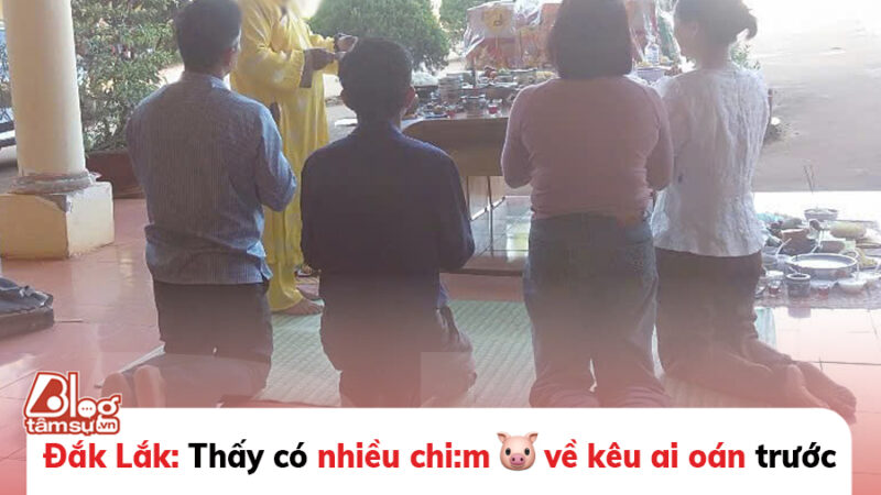 Thấy có nhiều chim lợn, trường mua vàng mã, mời thầy về cúng!