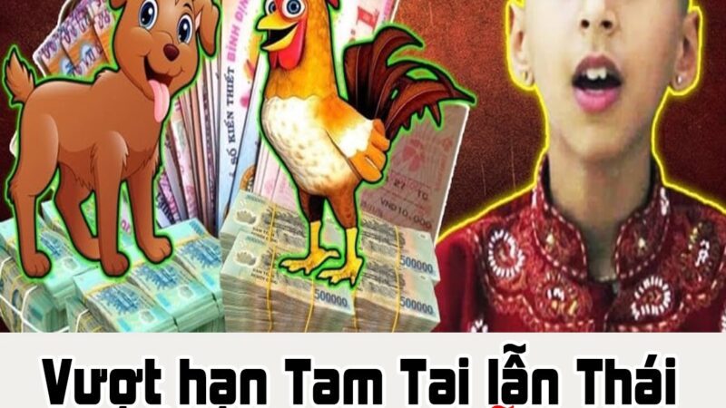 Vượt hạn Tam Tai lẫn Thái Tuế: 3 con giáp vẫn đạt đỉnh giàu sang cuối năm Ất Tỵ