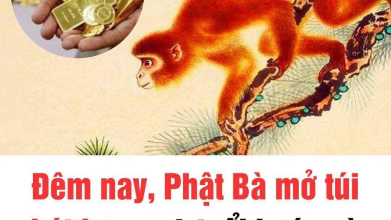 Đêm nay phật bà mở túi phát lương, 4 tuổi bước vào đại vận, giàu có ngất trời