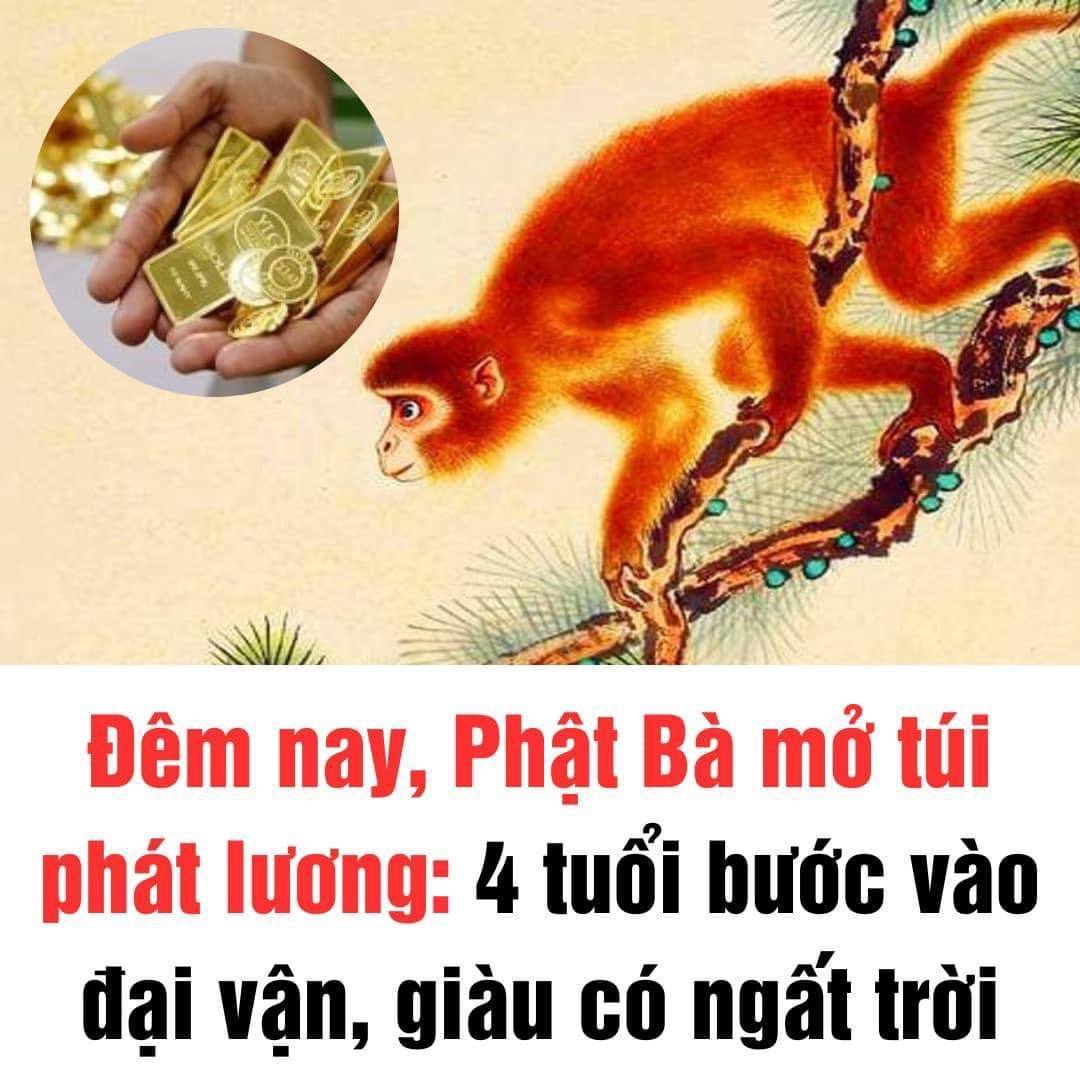 Đêm nay phật bà mở túi phát lương, 4 tuổi bước vào đại vận, giàu có ngất trời