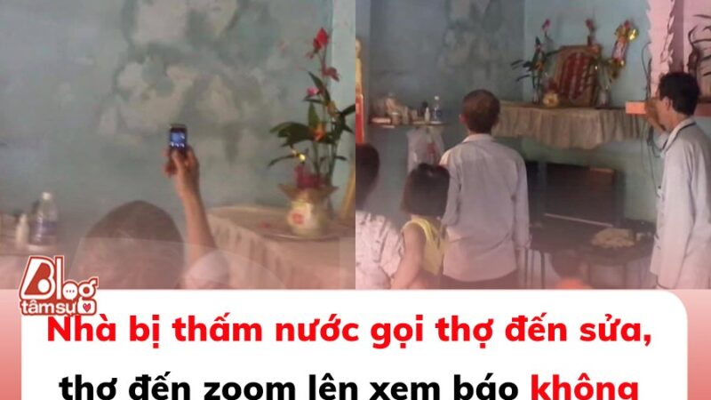 Nhà bị thấm nước gọi thợ đến sửa, thợ đến zoom lên xem báo không dám sửa, cả nhà nghe lý giải xong thì tái mặt