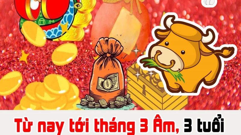 Từ nay tới tháng 3 Âm, 3 tuổi Lộc Thánh Tràn Vào Cửa, no nê tiền vàng: Đặc biệt con giáp đầu tiên