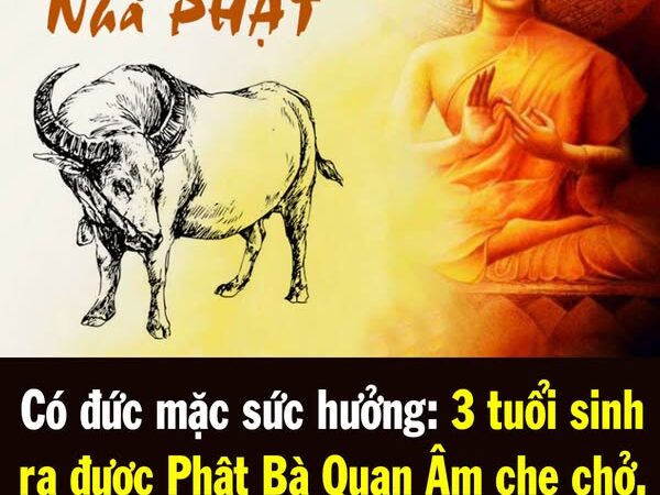 Có đức mặc sức hưởng: 3 tuổi sinh ra được Phật Bà Quan Âm che chở, chẳng bon chen lộc tự về tay