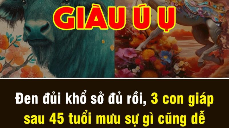 Đen đủi khổ sở đủ rồi, 3 con giáp bước vào vòng VẬN mới, đón lộc GIÀU sang từ tuổi 45