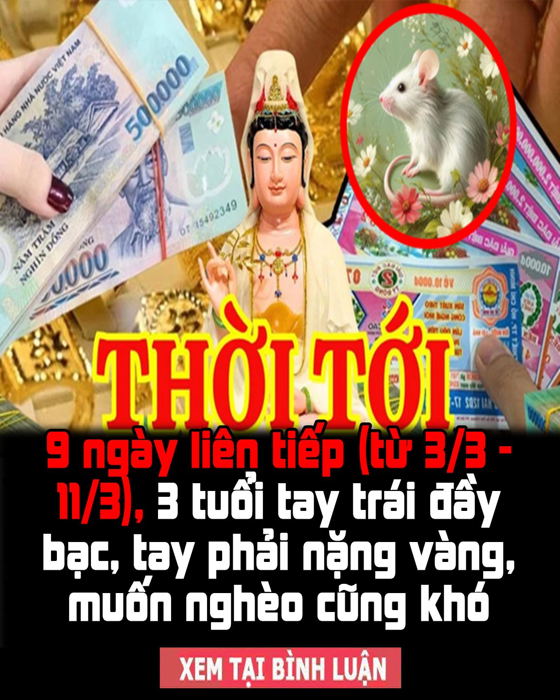 9 ngày liên tiếp (từ 3/3 – 11/3), 3 tuổi tay trái đầy bạc, tay phải nặng vàng, muốn nghèo cũng khó